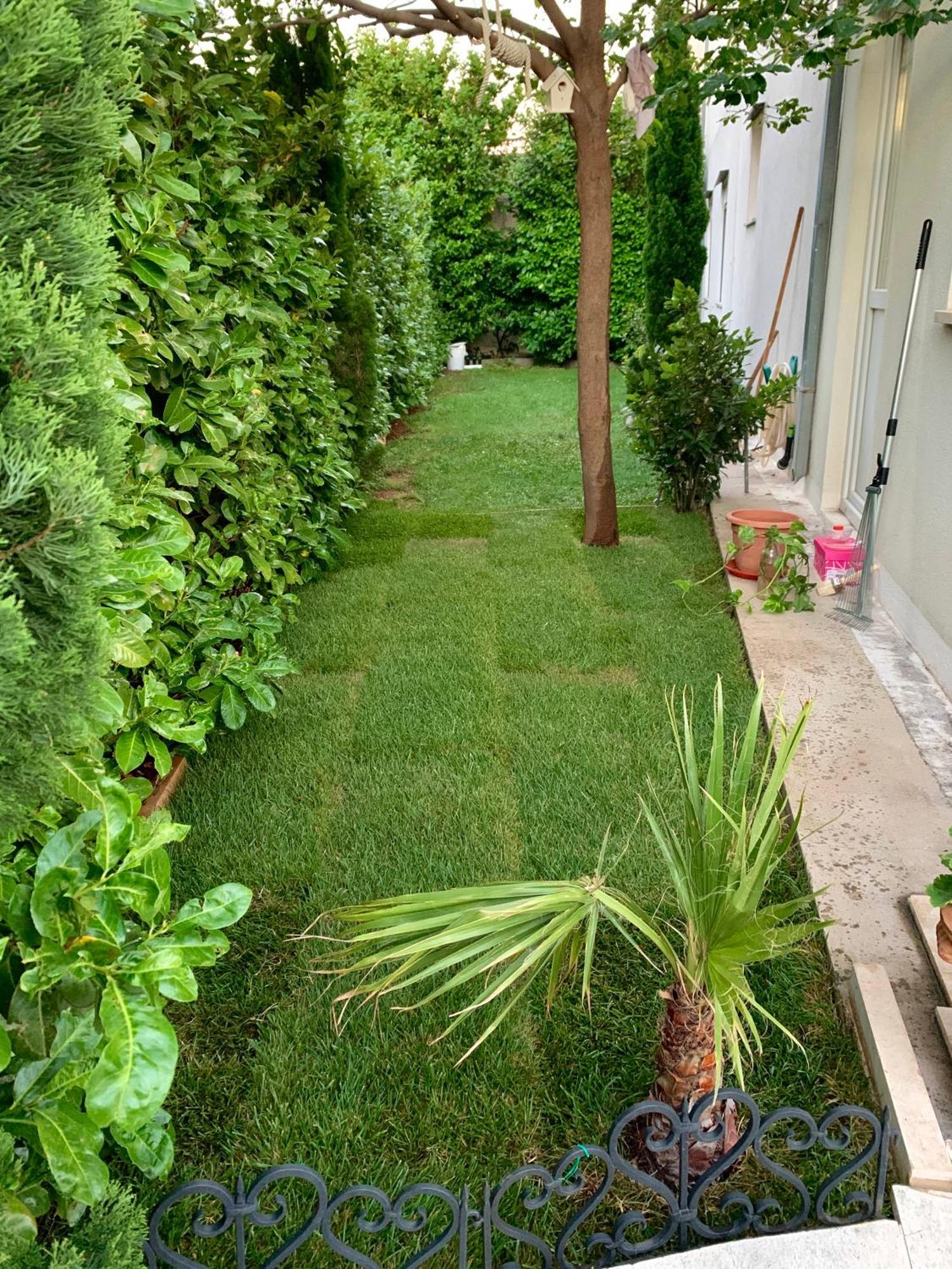 Apartman Filipovic Makarska Esterno foto